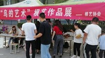 根藝協(xié)會舉辦“鳥的藝術(shù)”根藝作品展