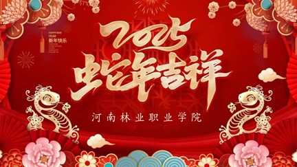 聚焦改革謀發(fā)展 真抓實(shí)干譜新篇
